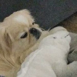 Meet your Posher, Cynthia